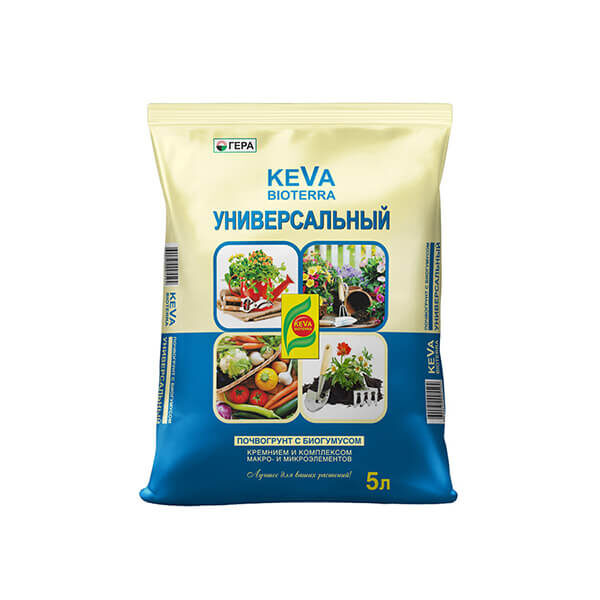 Корзина