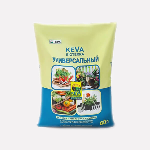 Корзина