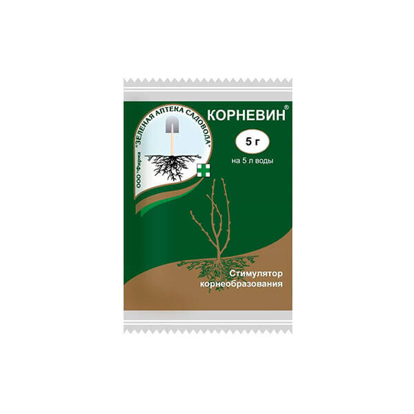 Корзина