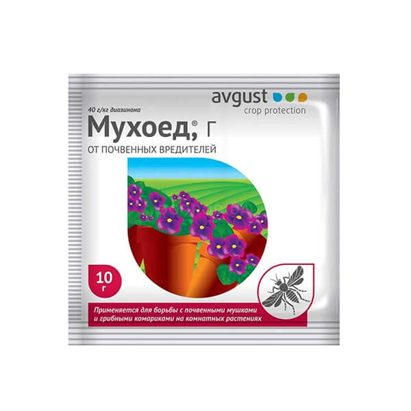 Корзина