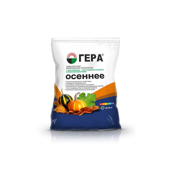 Корзина